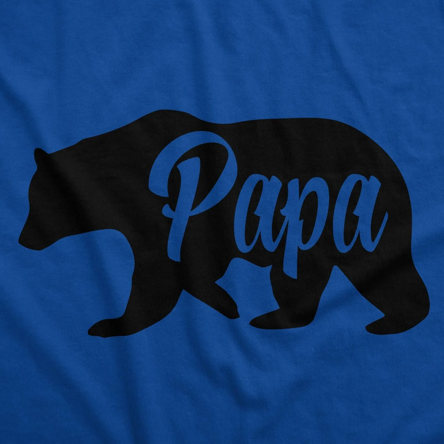 Mens Papa Bear Funny Shirts for Dads Gift Idea Humor Novelty Tees Family T Shirt